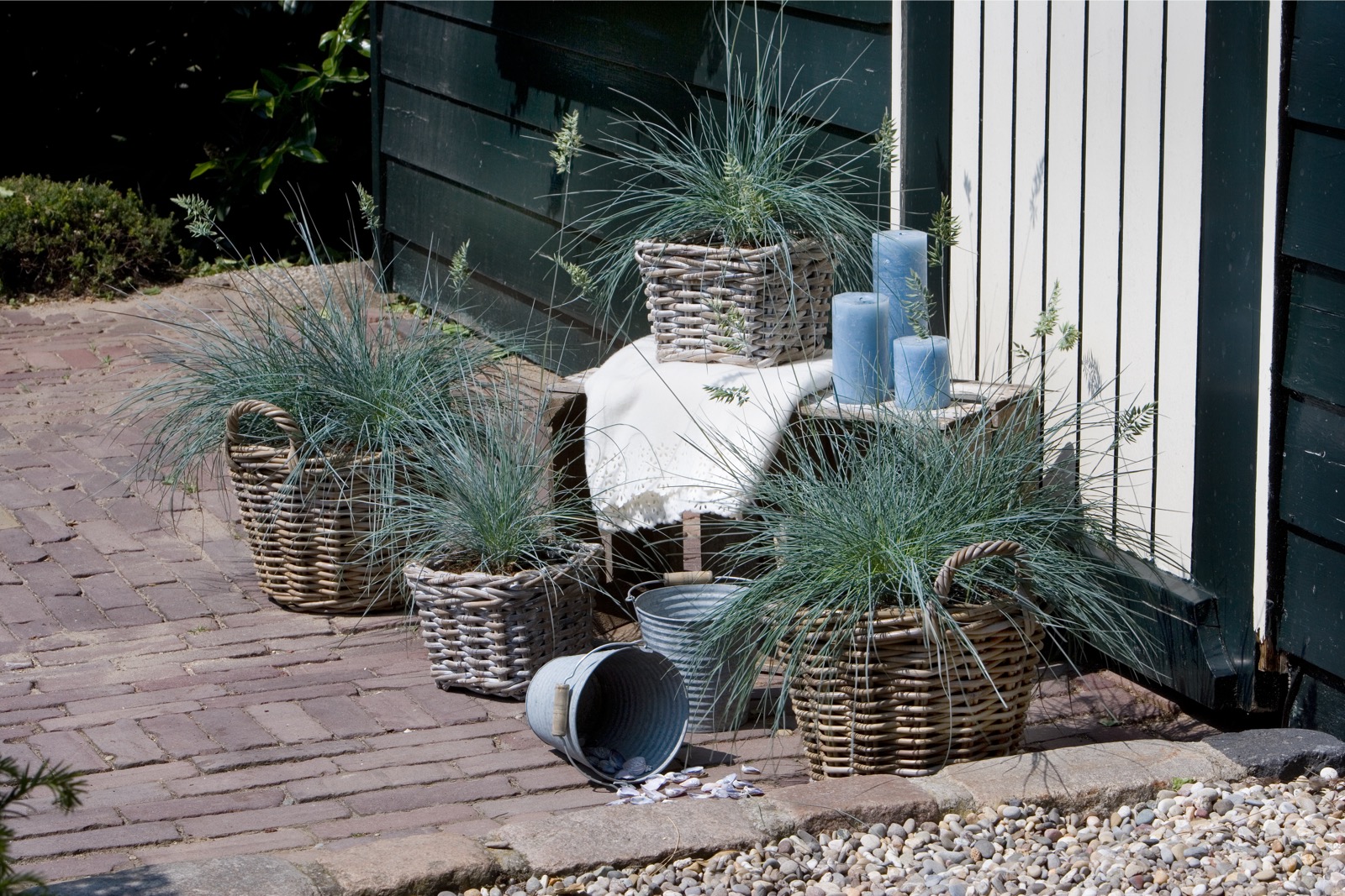 Afbeelding grassen - Spekvoordeel.nl