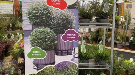 Afbeelding bij nieuwsbericht - Najaarsbeurs tuinplanten opgekocht = Tot wel 50% korting - Spekvoordeel.nl