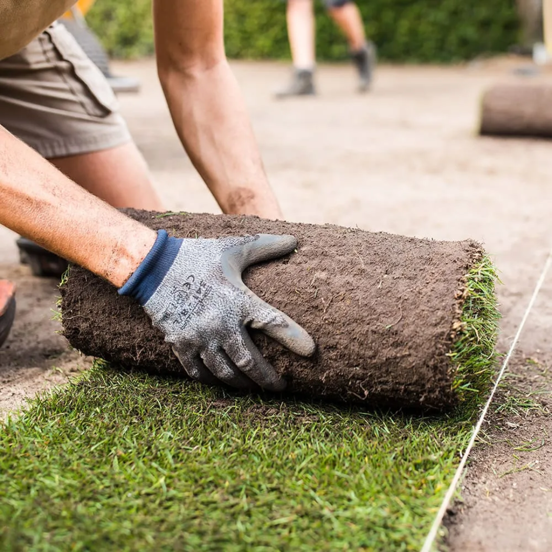 Afbeedling Graszoden - Spekvoordeel.nl