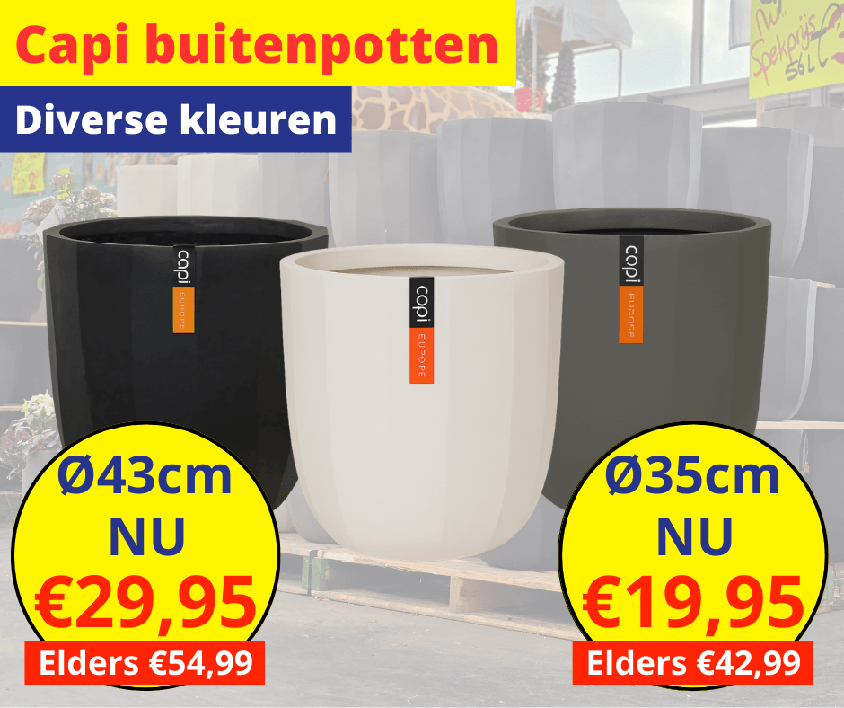 Afbeedling Capi buitenpotten - Spekvoordeel.nl