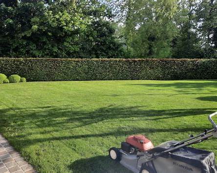 Afbeelding meststoffen-gazon-mest - Spekvoordeel.nl