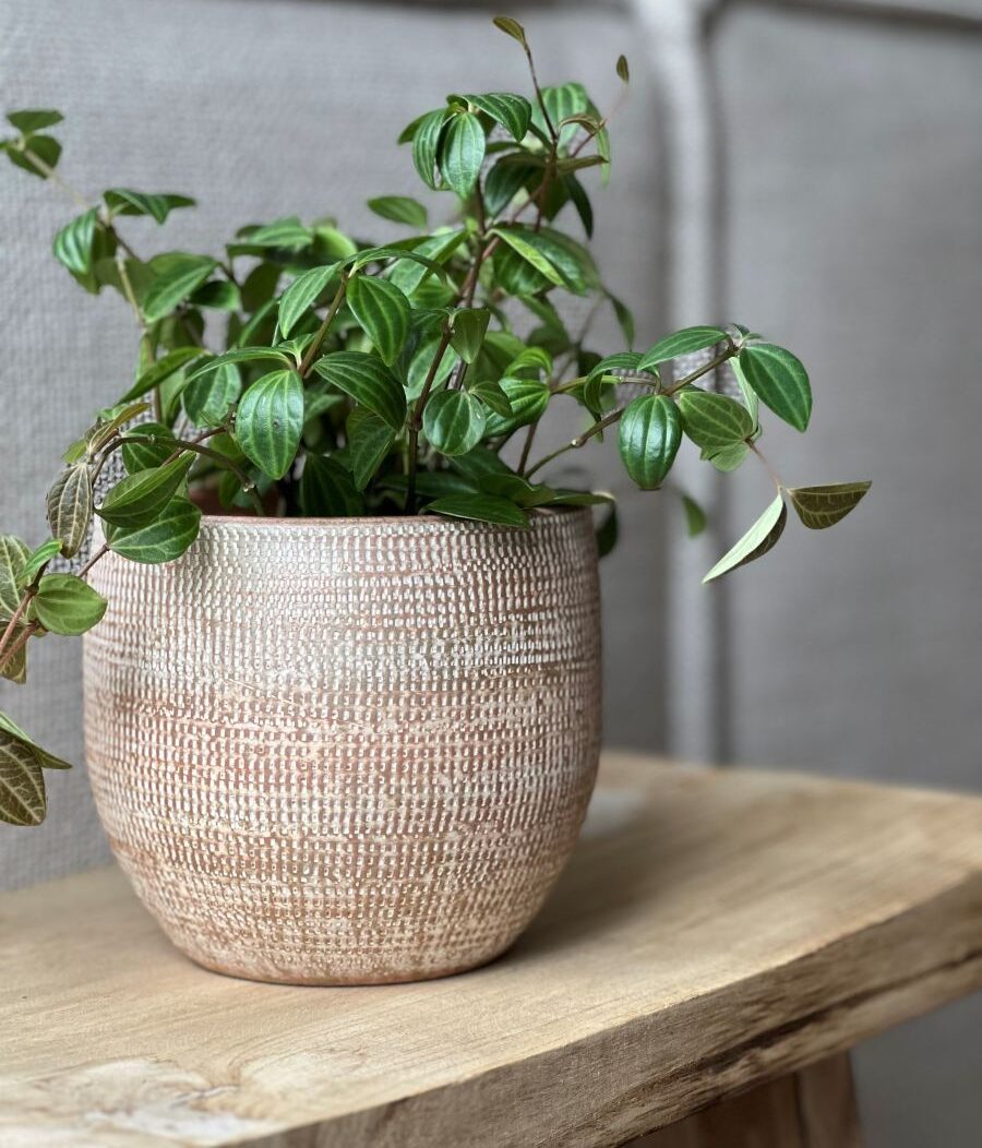 Afbeedling Binnenpot Tokio terra - Spekvoordeel.nl