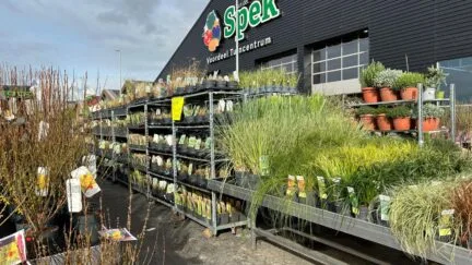 Afbeelding tuinplanten - Spekvoordeel.nl