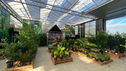 Afbeelding bij nieuwsbericht - Van der Spek koopt aantal plantenbeurzen op - Spekvoordeel.nl