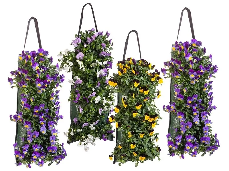 Afbeedling Winterviolen Wandhanger - Spekvoordeel.nl