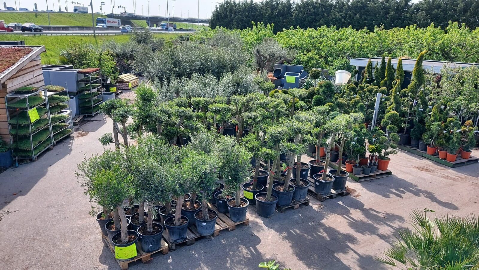 Afbeelding mediterraans - Spekvoordeel.nl