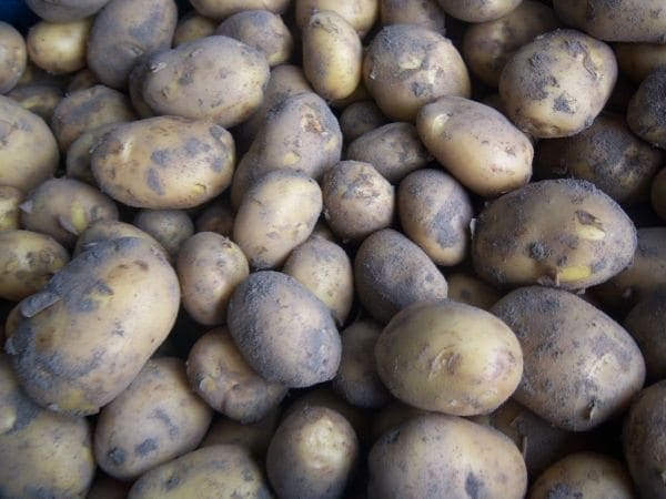 Afbeelding aardappelen - Spekvoordeel.nl