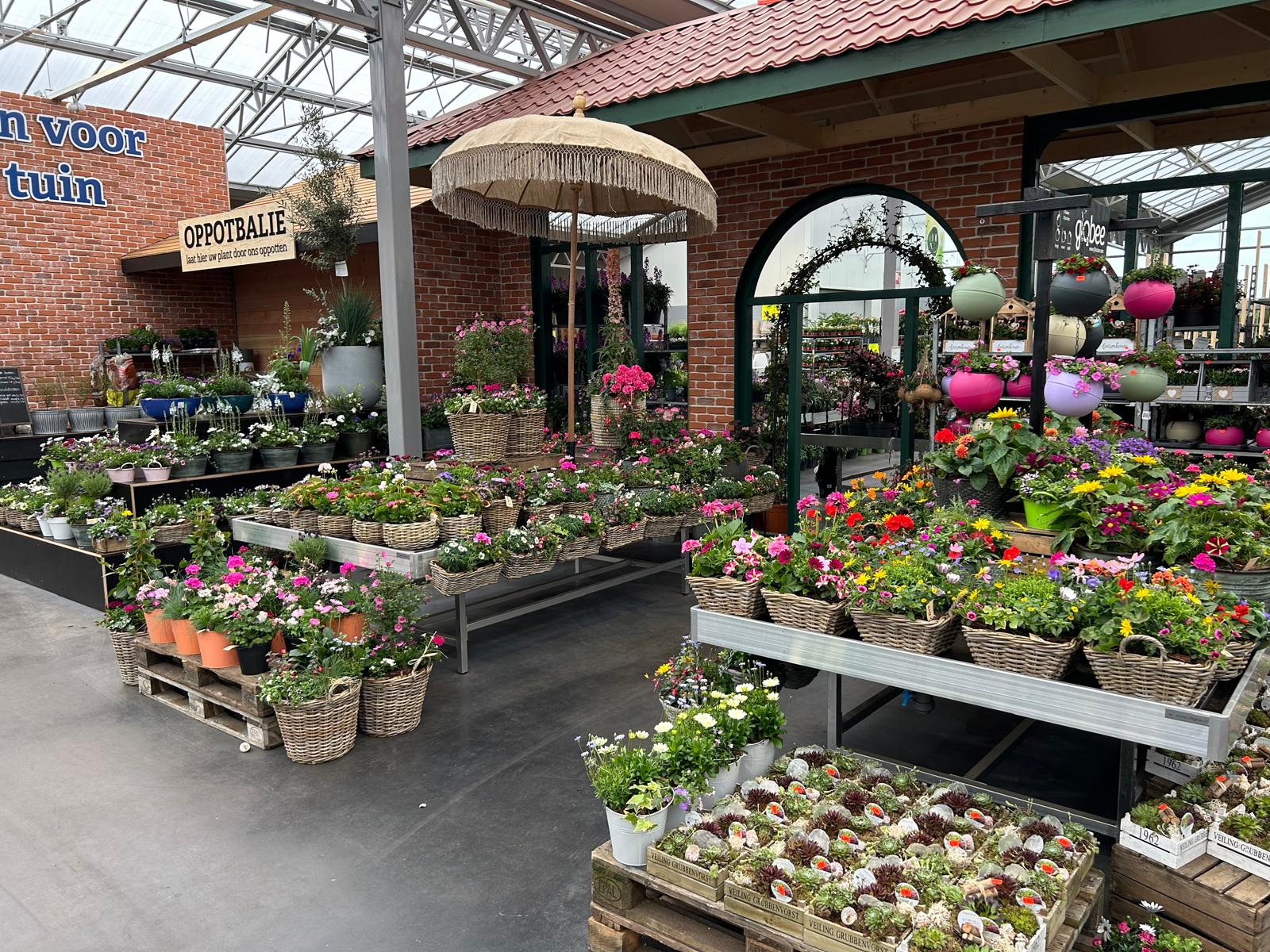 Afbeedling Plantenbakjes - Spekvoordeel.nl