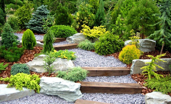 Afbeelding coniferen - Spekvoordeel.nl