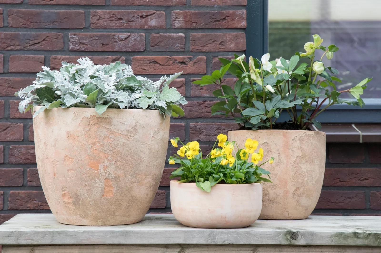 Terracotta potten