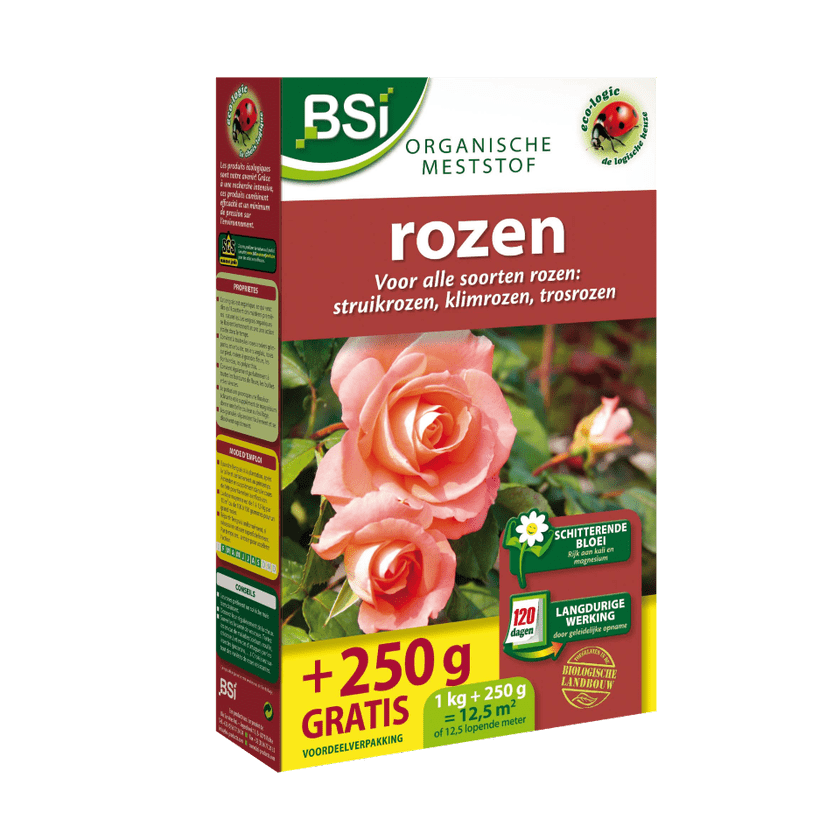 Afbeedling Rozen - Spekvoordeel.nl