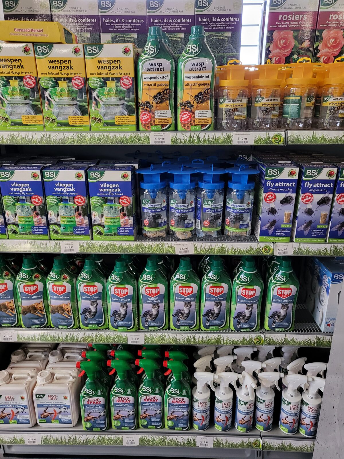 Afbeedling Bestrijdingsmiddelen wespen - Spekvoordeel.nl