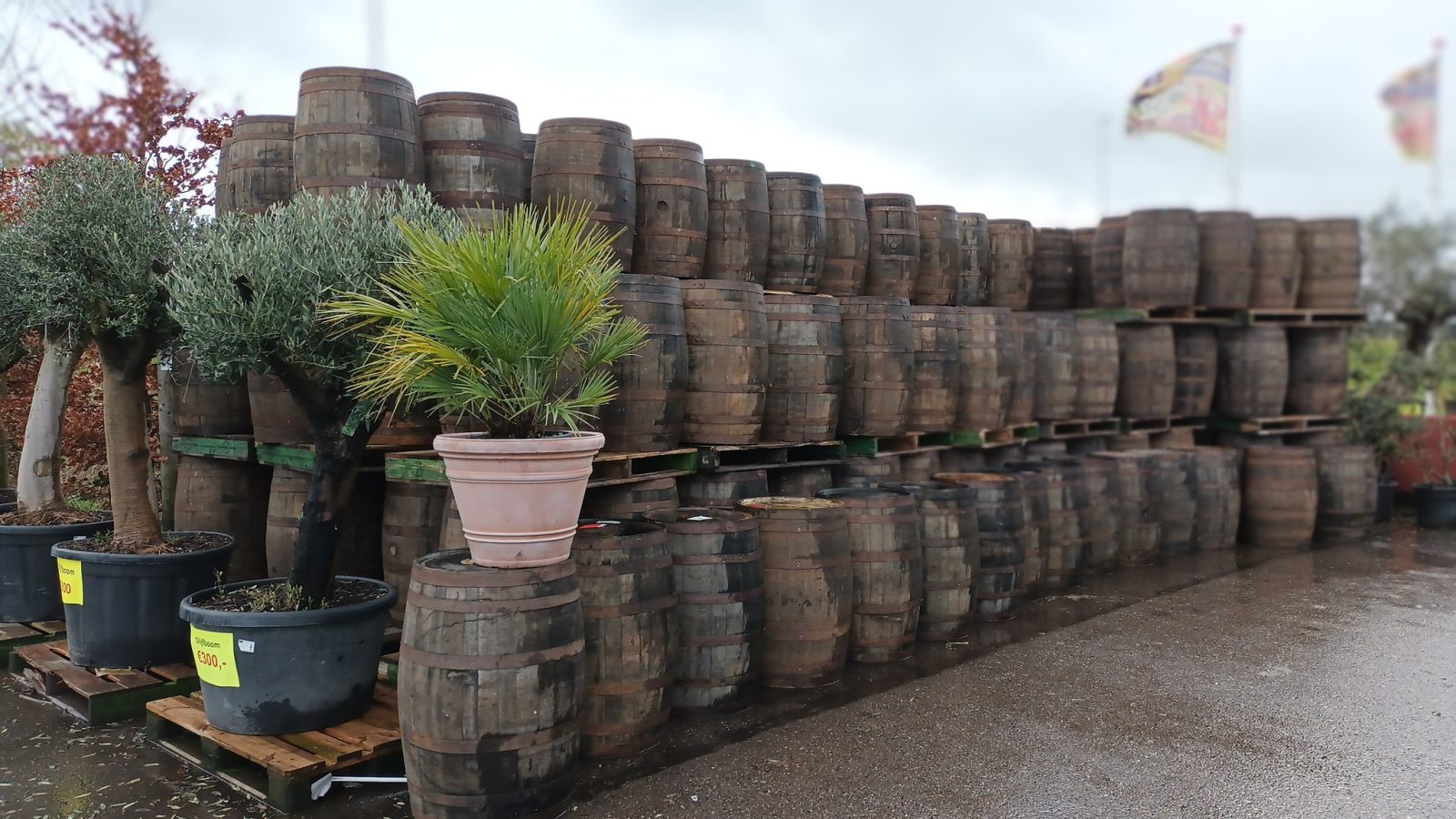 Afbeelding wijnvaten-wiskeyvaten-regentonnen - Spekvoordeel.nl