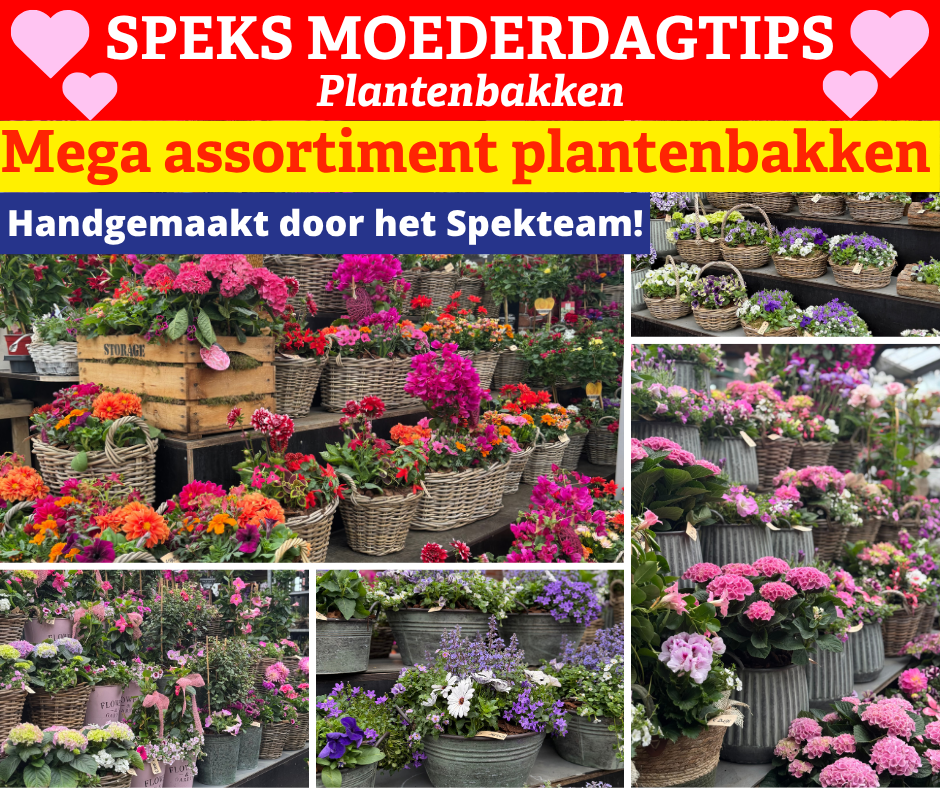plantenbakken