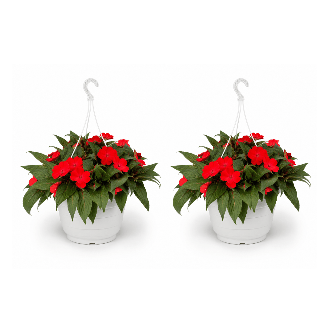 hangpot