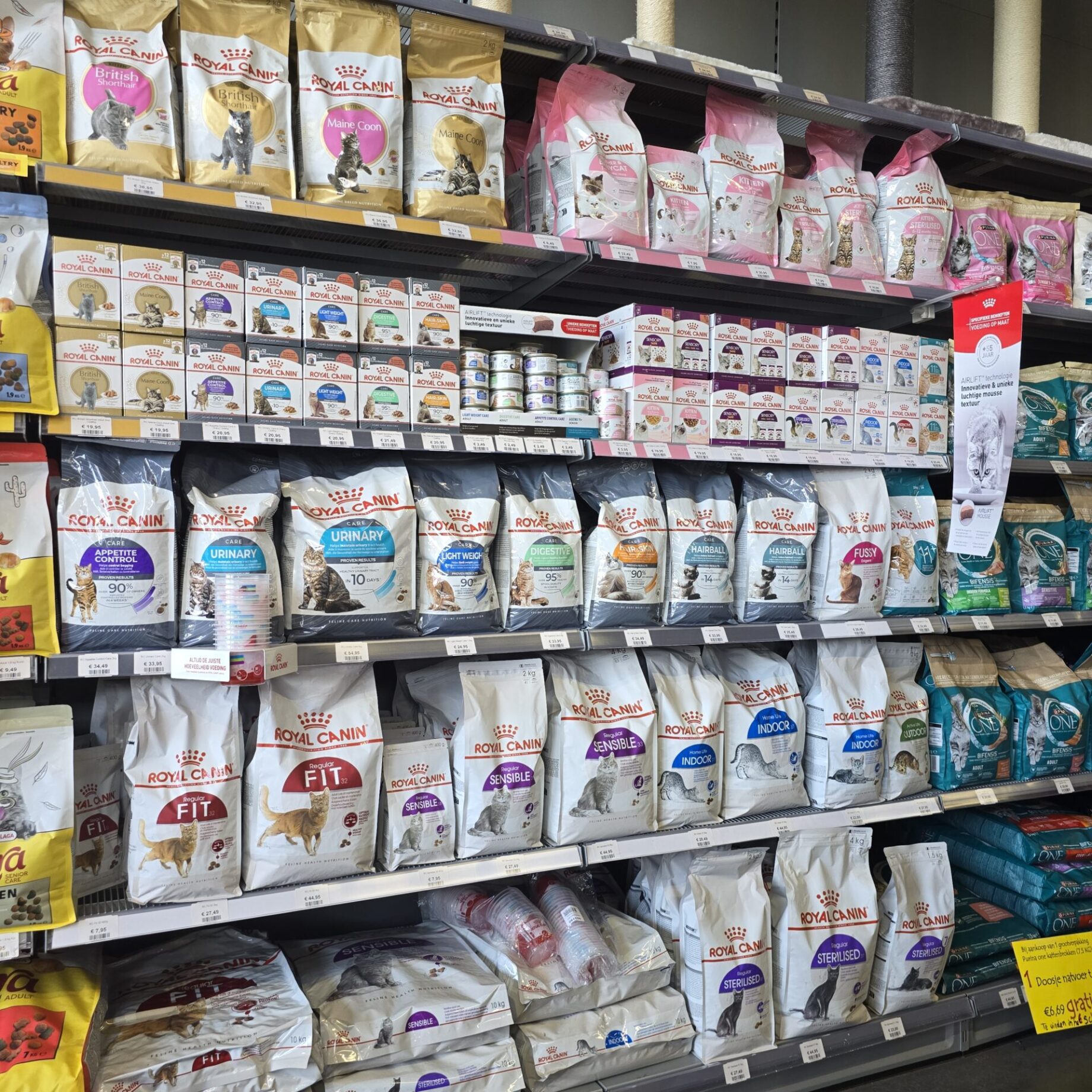 Droogvoer Katten | Royal Canin