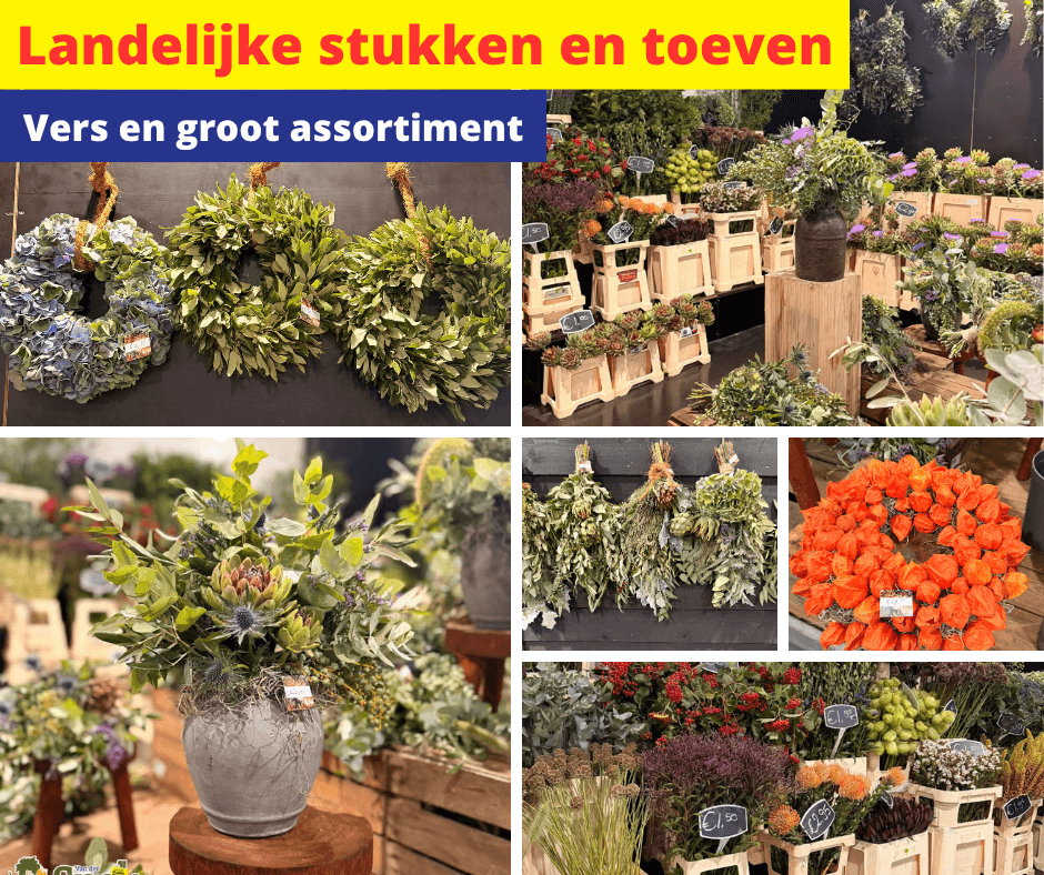 Landelijke stukken en toeven