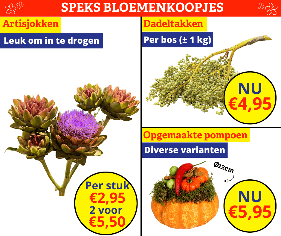 Speks bloemenkoopjes