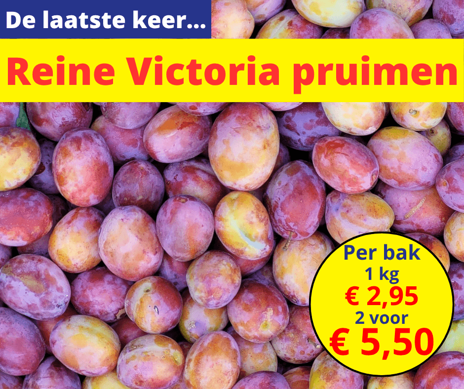 De laatste keer…Reine Victoria pruimen