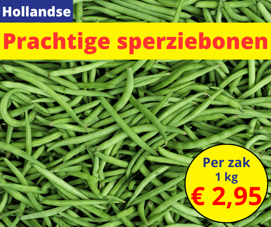 Prachtige Hollandse sperziebonen