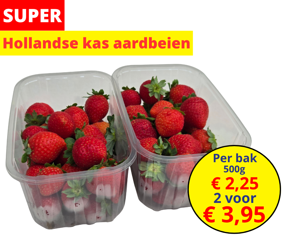 SUPER Hollandse kas aardbeien