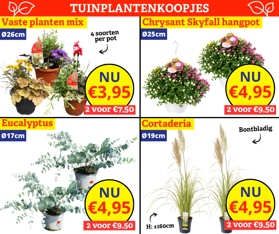 Tuinplantenkoopjes